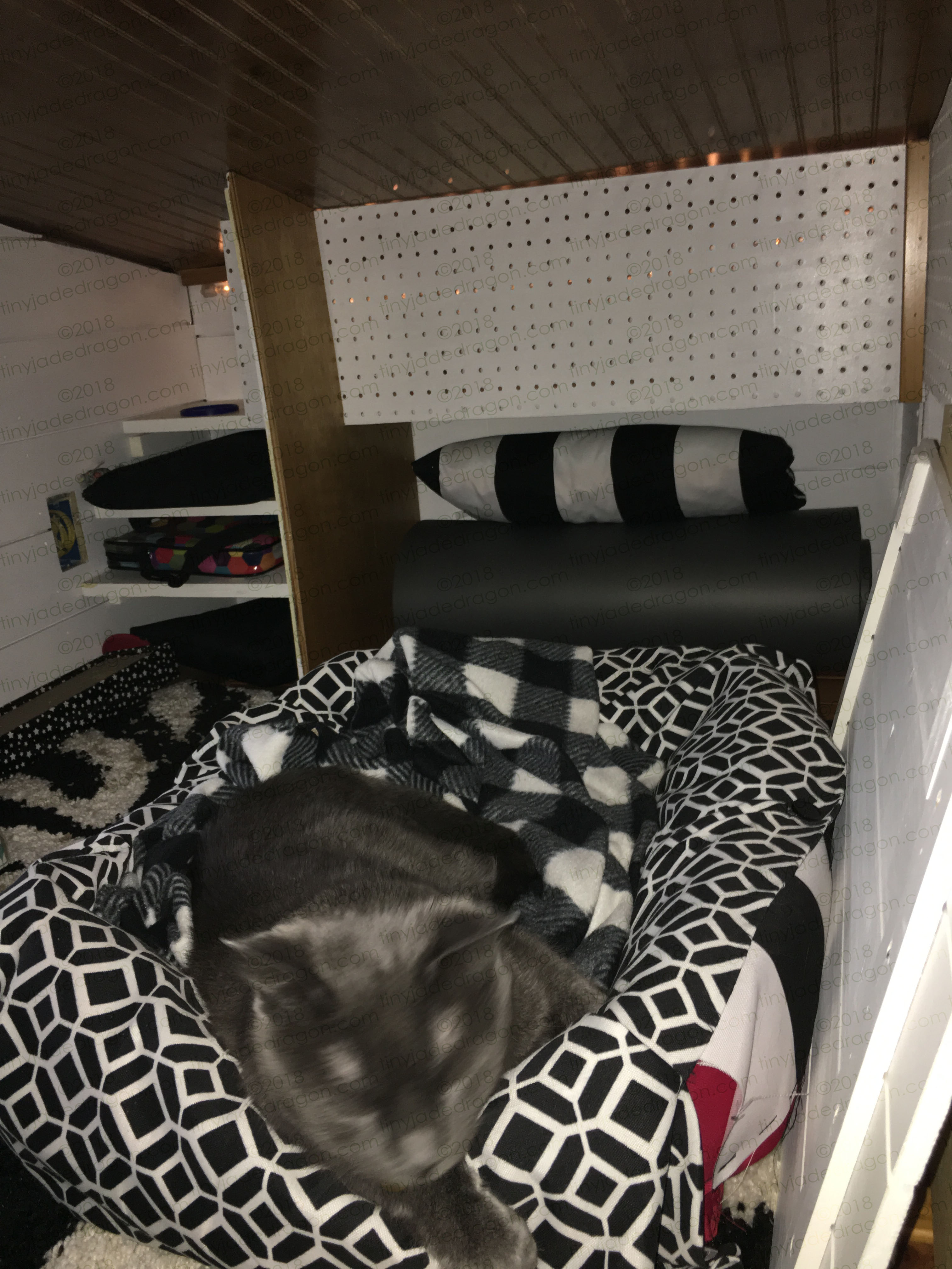  Catio for Furry Friend